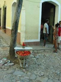 Se venden tomates . . .